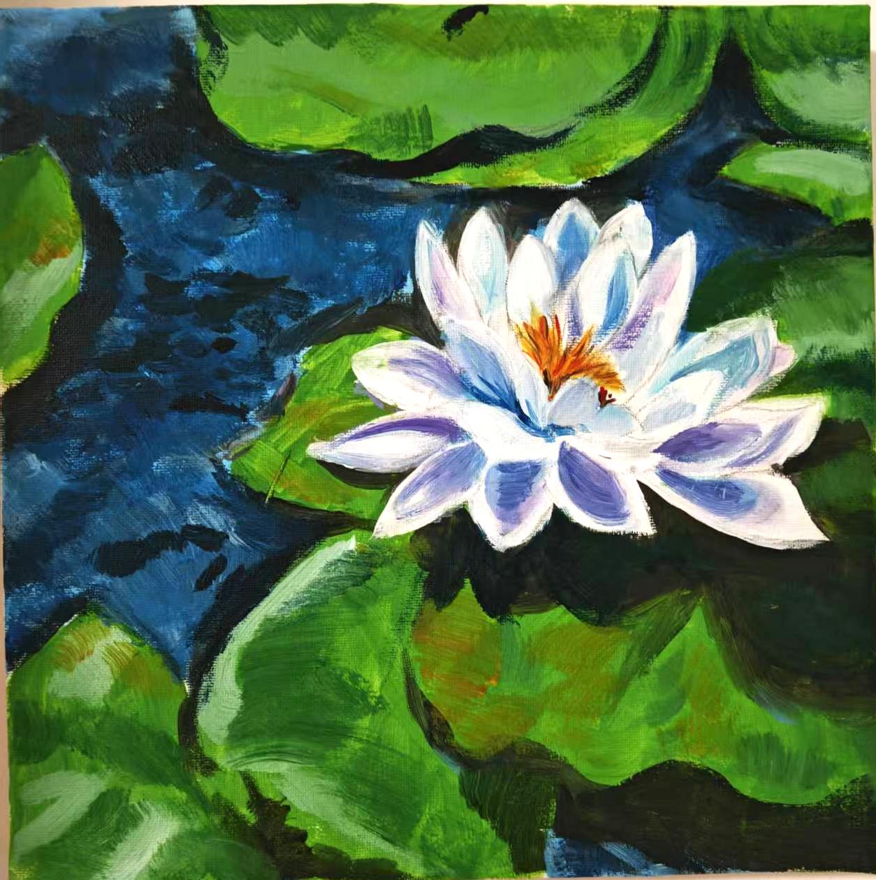 小学作品/荷花